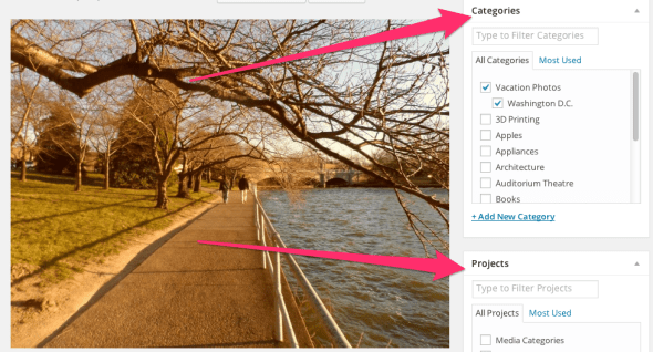 Edit_Media_‹_Local_Community_Dev_—_WordPress